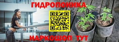 мяу мяу мука Балахна